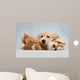 Golden Retriever Puppy Blue Wall Decal