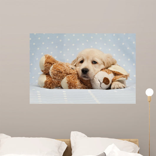 Golden Retriever Puppy Blue Wall Decal