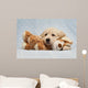 Golden Retriever Puppy Blue Wall Decal