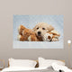 Golden Retriever Puppy Blue Wall Decal