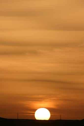 Sunset Desert Egypt Wall Decal