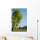 Dresden Wall Decal Design 2