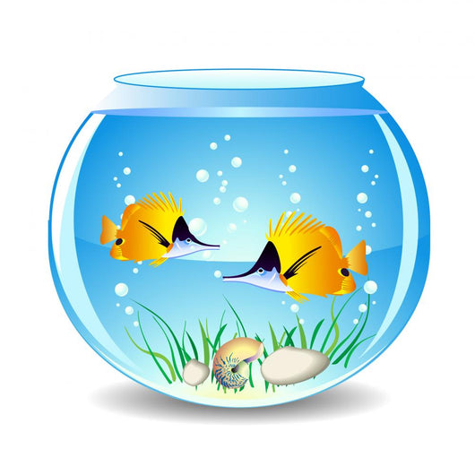 Vector Fishes Aquarium Wall Decal
