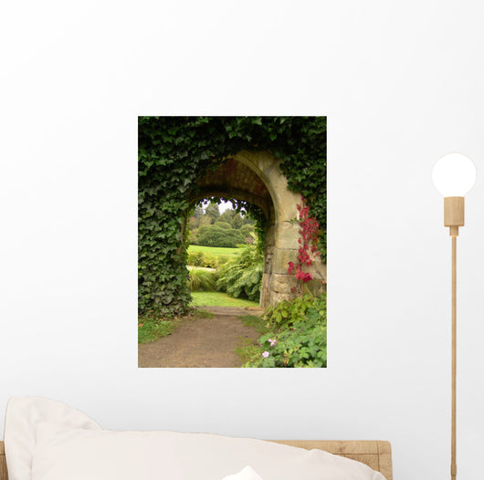 Ivy Climbing up Wall - Wall Decal
