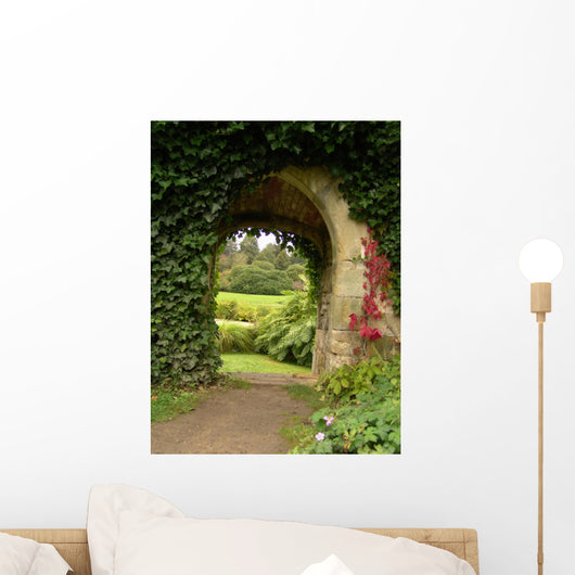 Ivy Climbing up Wall - Wall Decal