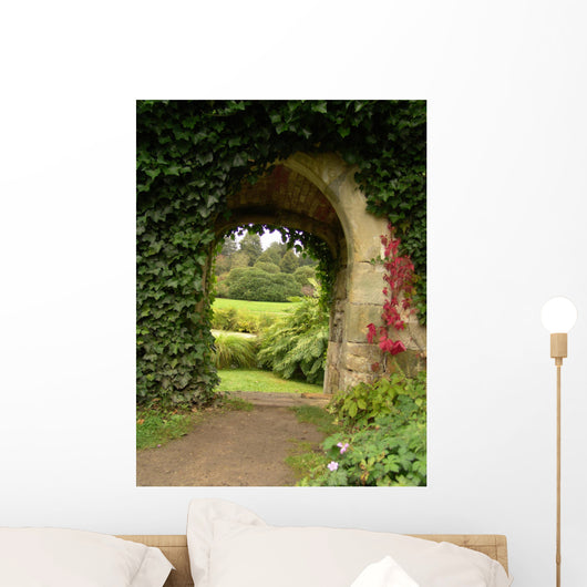 Ivy Climbing up Wall - Wall Decal