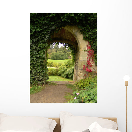 Ivy Climbing up Wall - Wall Decal