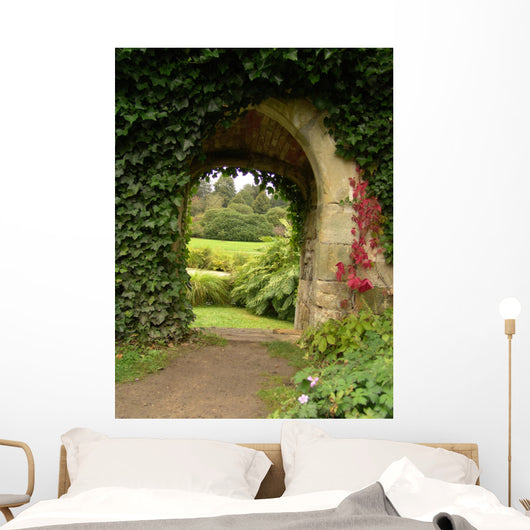 Ivy Climbing up Wall - Wall Decal
