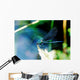 Insecte Artistique Wall Decal