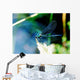 Insecte Artistique Wall Decal