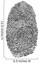 Fingerprint Wall Decal Design 2