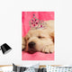 Golden Retriever Puppy Wall Decal Design 2