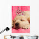 Golden Retriever Puppy Wall Decal Design 2