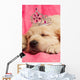 Golden Retriever Puppy Wall Decal Design 2