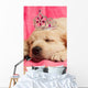 Golden Retriever Puppy Wall Decal Design 2
