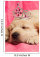 Golden Retriever Puppy Wall Decal Design 2