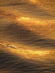 Golden Waves Wall Decal