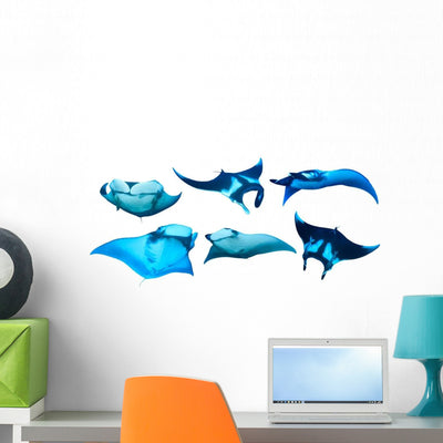 Six Manta Ray Wall Decal shown on a wall