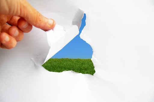 Blue Sky and Green Wall Decal