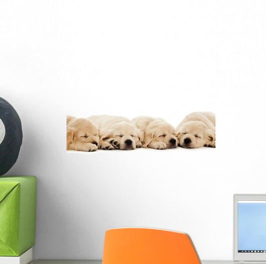 Golden Retriever Puppies Wall Decal Design 2