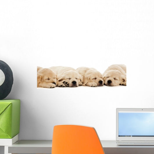Golden Retriever Puppies Wall Decal Design 2