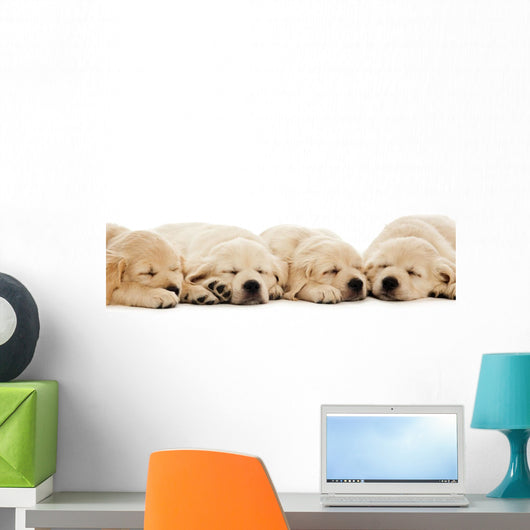 Golden Retriever Puppies Wall Decal Design 2