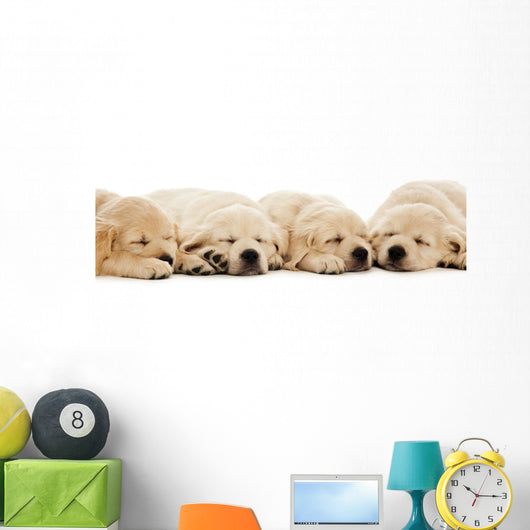 Golden Retriever Puppies Wall Decal Design 2