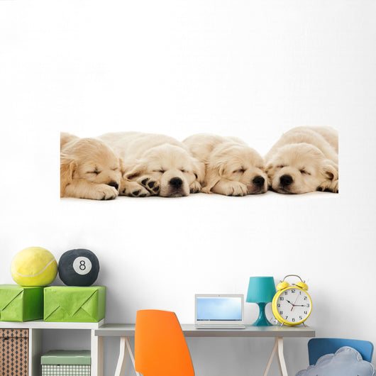 Golden Retriever Puppies Wall Decal Design 2