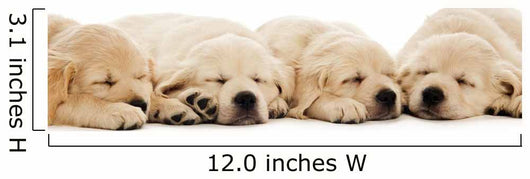 Golden Retriever Puppies Wall Decal Design 2