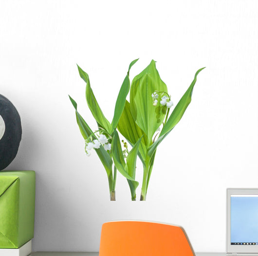 Stems Lily-of-the-valley Convallaria Majalis Wall Decal