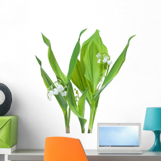 Stems Lily-of-the-valley Convallaria Majalis Wall Decal