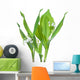 Stems Lily-of-the-valley Convallaria Majalis Wall Decal