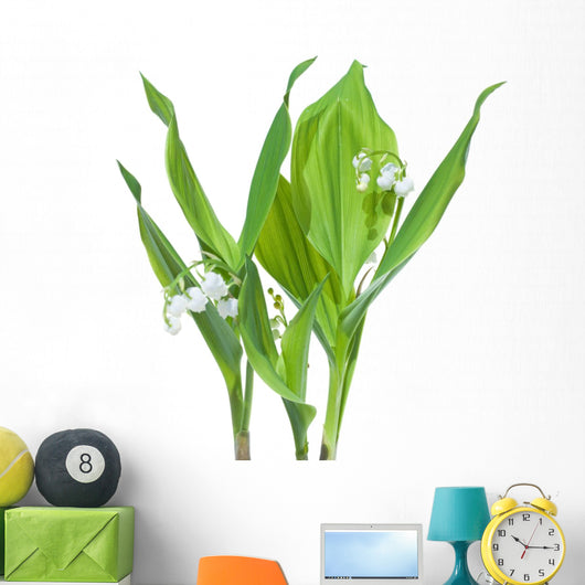 Stems Lily-of-the-valley Convallaria Majalis Wall Decal