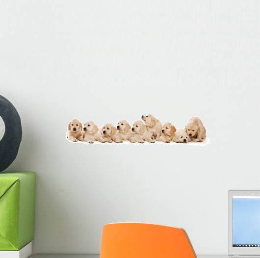 Golden Retriever Puppies Wall Decal Design 1