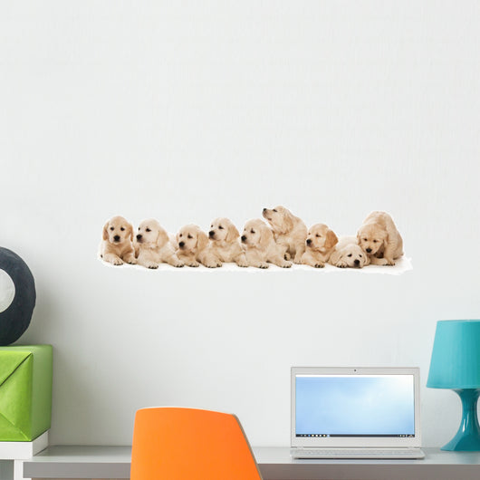 Golden Retriever Puppies Wall Decal Design 1