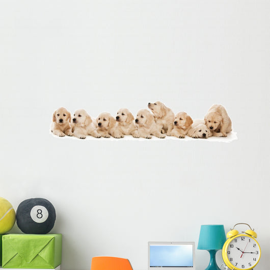 Golden Retriever Puppies Wall Decal Design 1