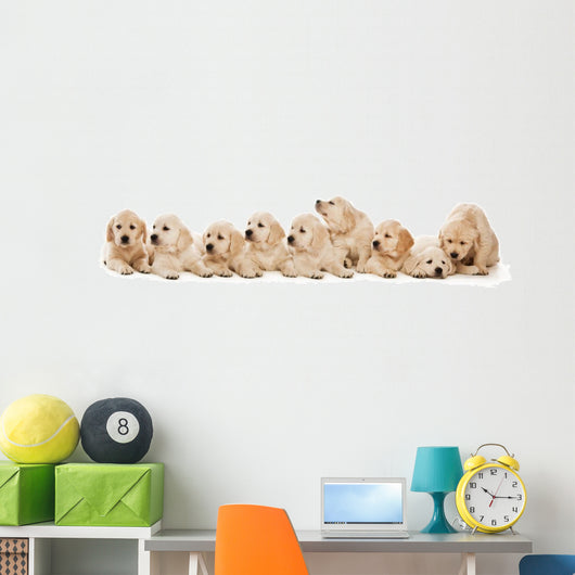 Golden Retriever Puppies Wall Decal Design 1
