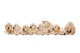 Golden Retriever Puppies Wall Decal Design 1