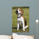 Beagle Wall Decal
