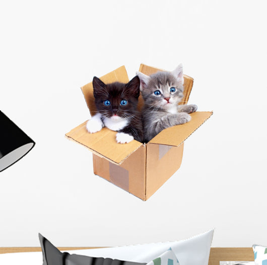 Boxed Kittens Wall Decal