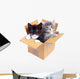 Boxed Kittens Wall Decal