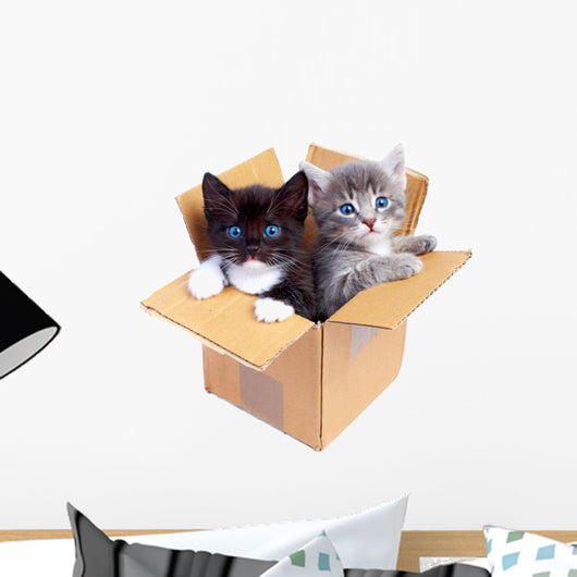 Boxed Kittens Wall Decal