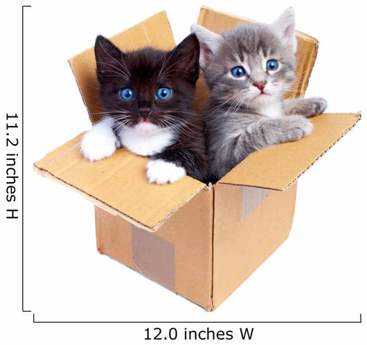 Boxed Kittens Wall Decal