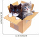 Boxed Kittens Wall Decal