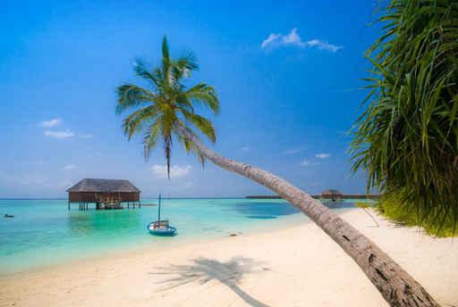 Dream Island Wall Decal