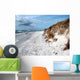 Strand Wall Decal Design 3