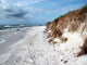 Strand Wall Decal Design 3