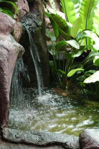 Water Pond Wall Decal
