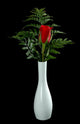 Single Red Rose Wall Decal