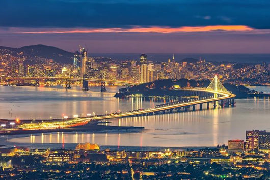 San Francisco Skyline Wall Decal